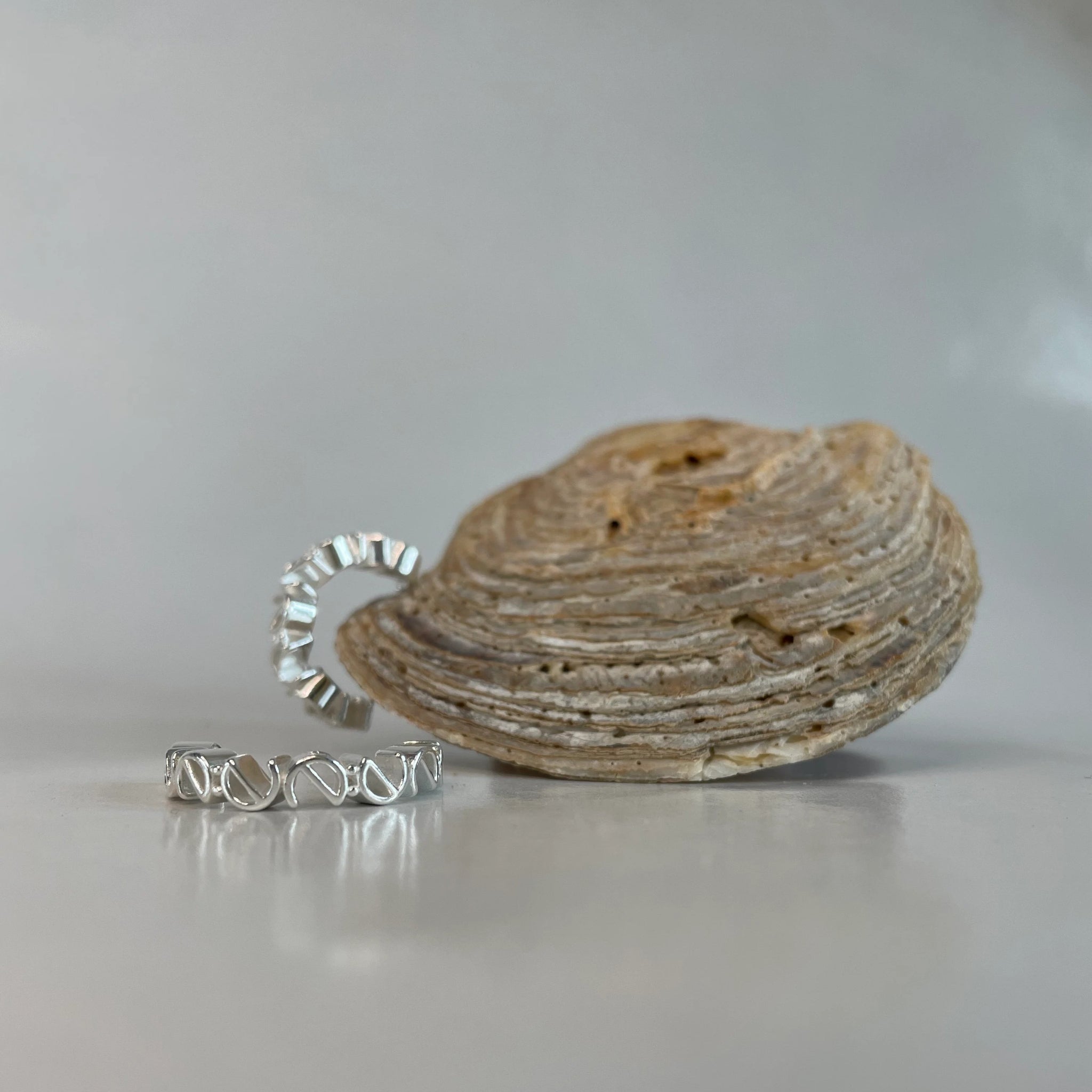 Zwei silberne Ringe, einer mit Zirkonia-Steinen und der andere mit einem gewellten Design, liegen vor einer Muschel.