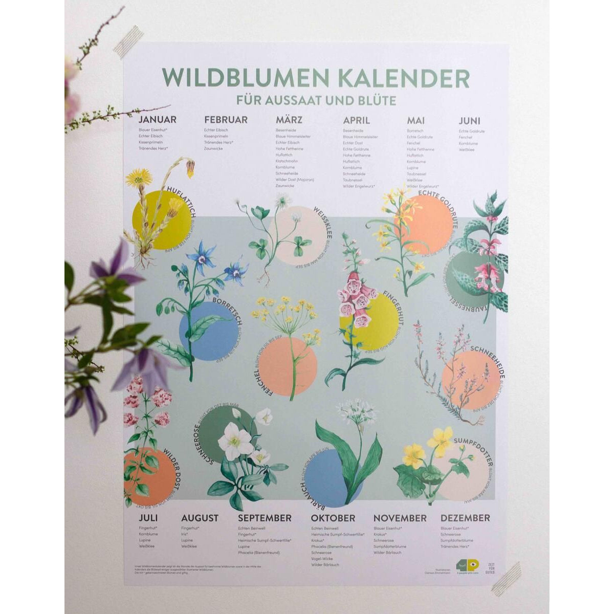 4peoplewhocare Saisonkalender Wildblumen für Aussat und Blüte A2