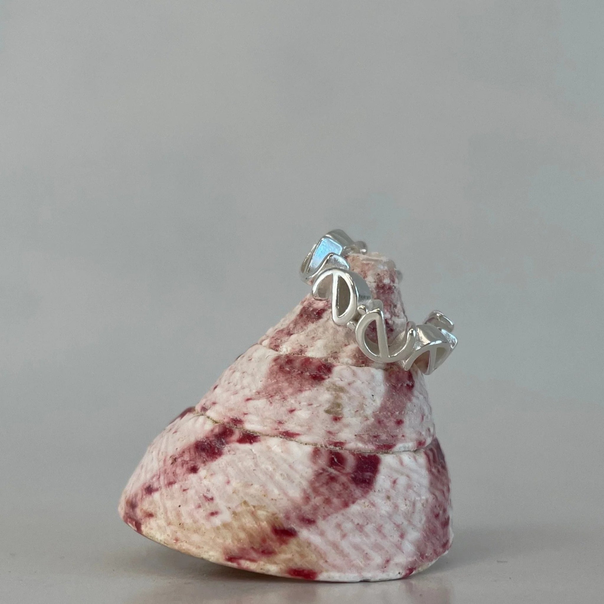 Silberner Ring mit gewelltem Design ruht auf einer spiralförmigen Muschel mit roten Flecken auf grauem Hintergrund.