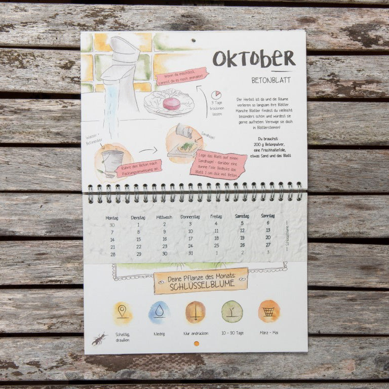 Der wachsende Kalender "Mein erster Garten"