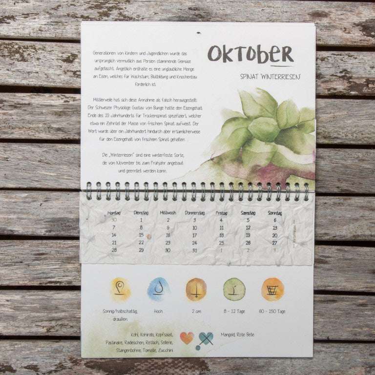 Kalenderseite für Oktober mit Text über Spinat und Illustrationen, darunter eine Monatsübersicht auf einem Holztisch.