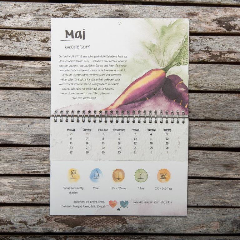 Kalenderblatt für Mai mit Zeichnung einer violett-orange Karotte und detaillierter Beschreibung über die Karottensorte.