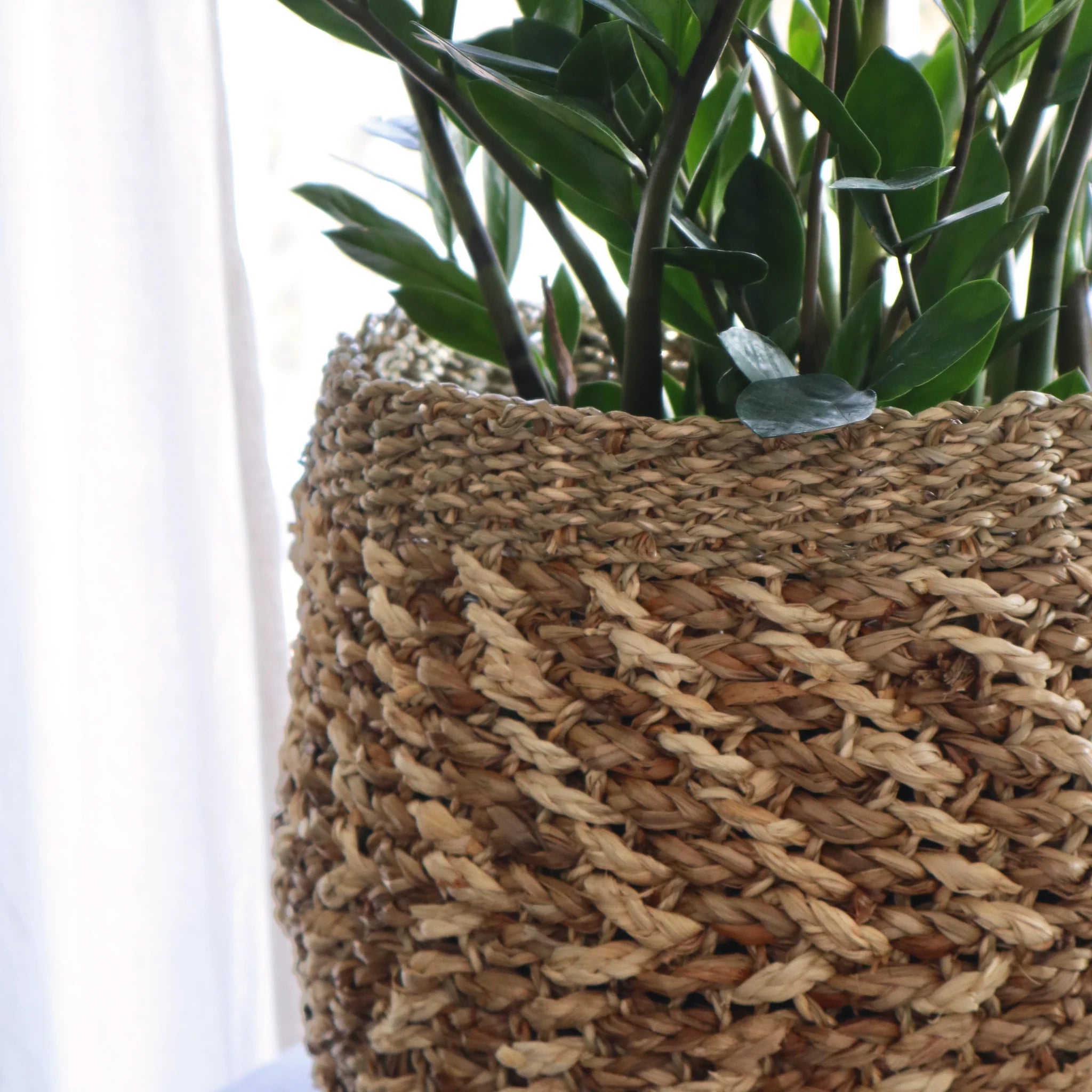 Naturewaves runder Korb aus Seegras "Moanah"