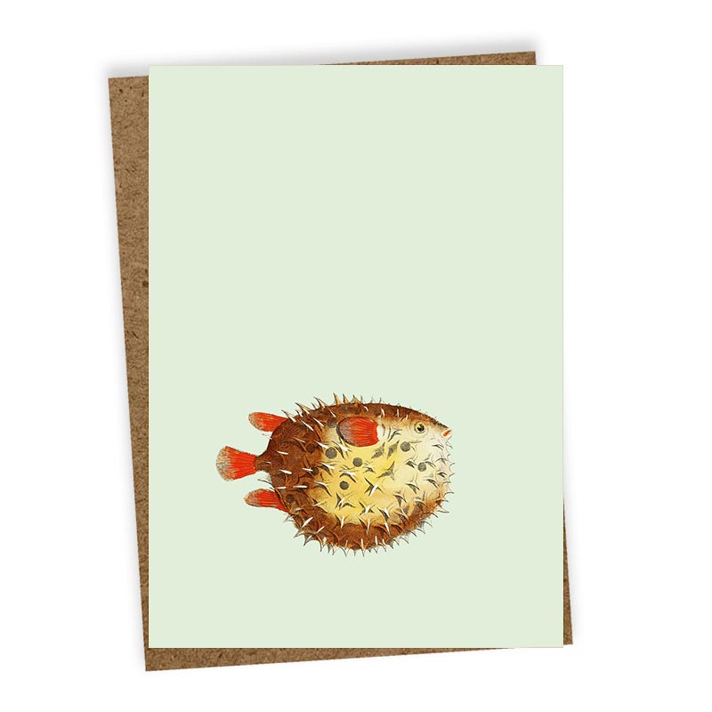 30x40-Grusskarten-6er Set-Tiermotive-gossip
