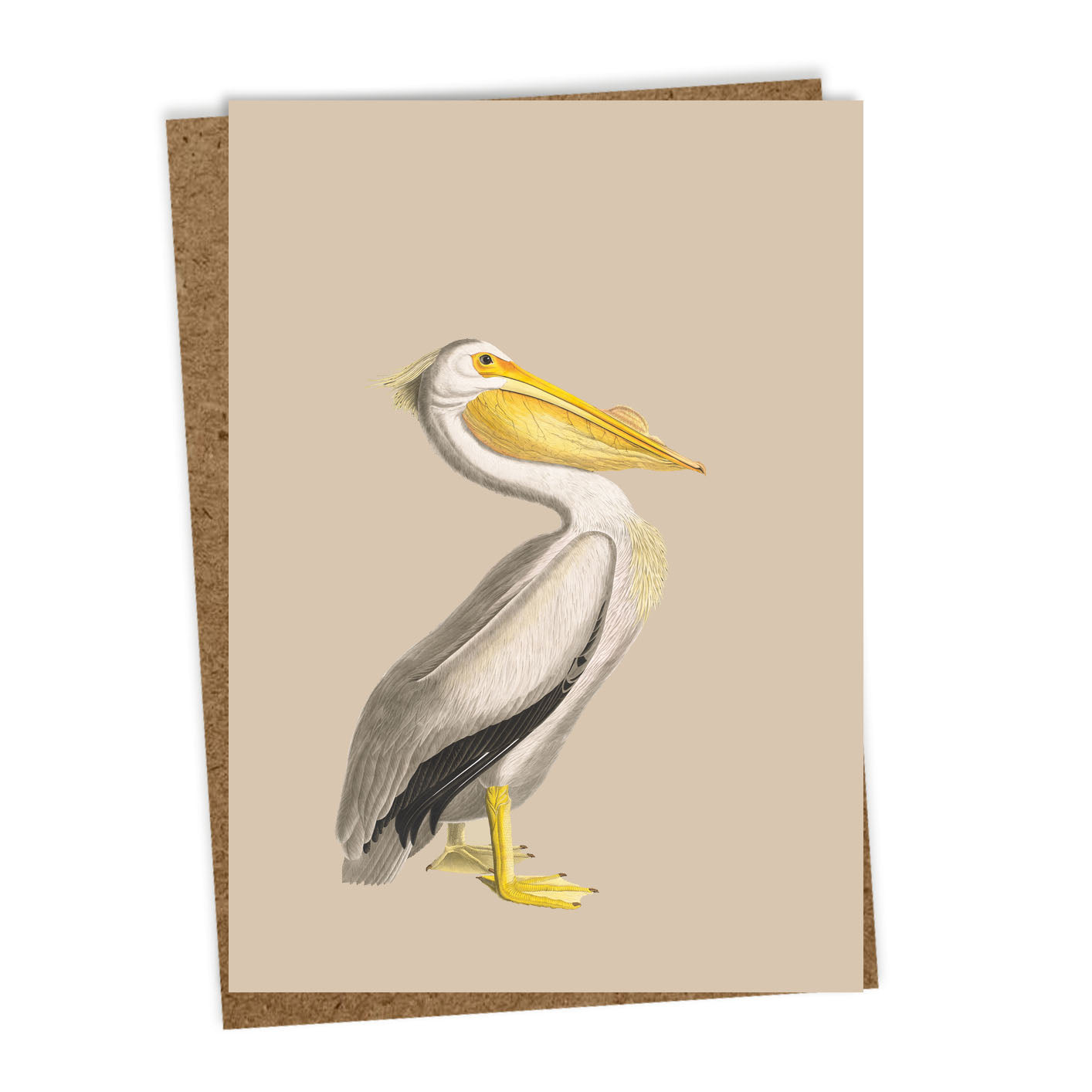 30x40-Grusskarten-6er Set-Tiermotive - me&you