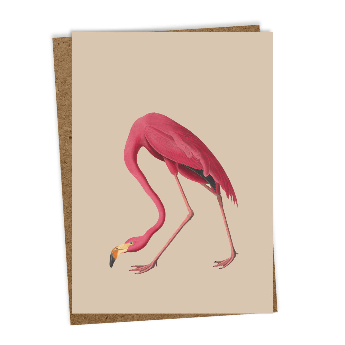 30x40-Grusskarten-6er Set-Tiermotive-sheila