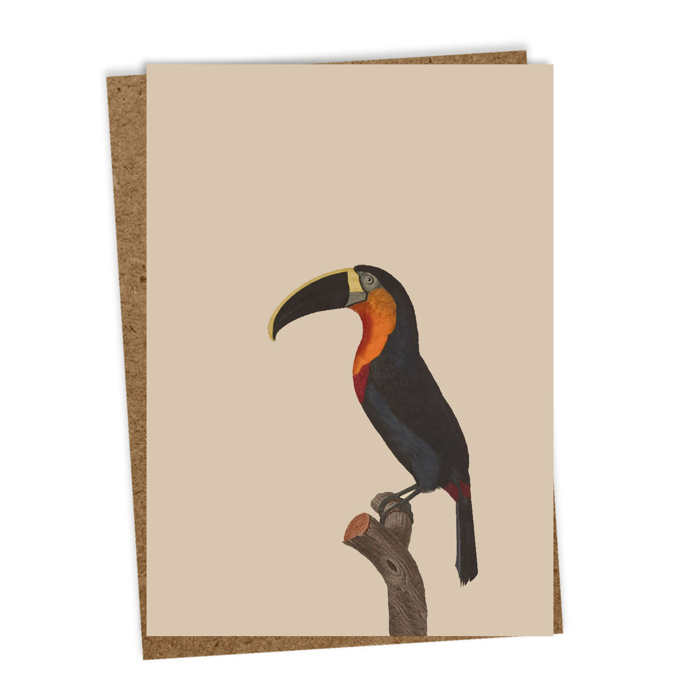 30x40-Grusskarten-6er Set-Tiermotive - troublemaker