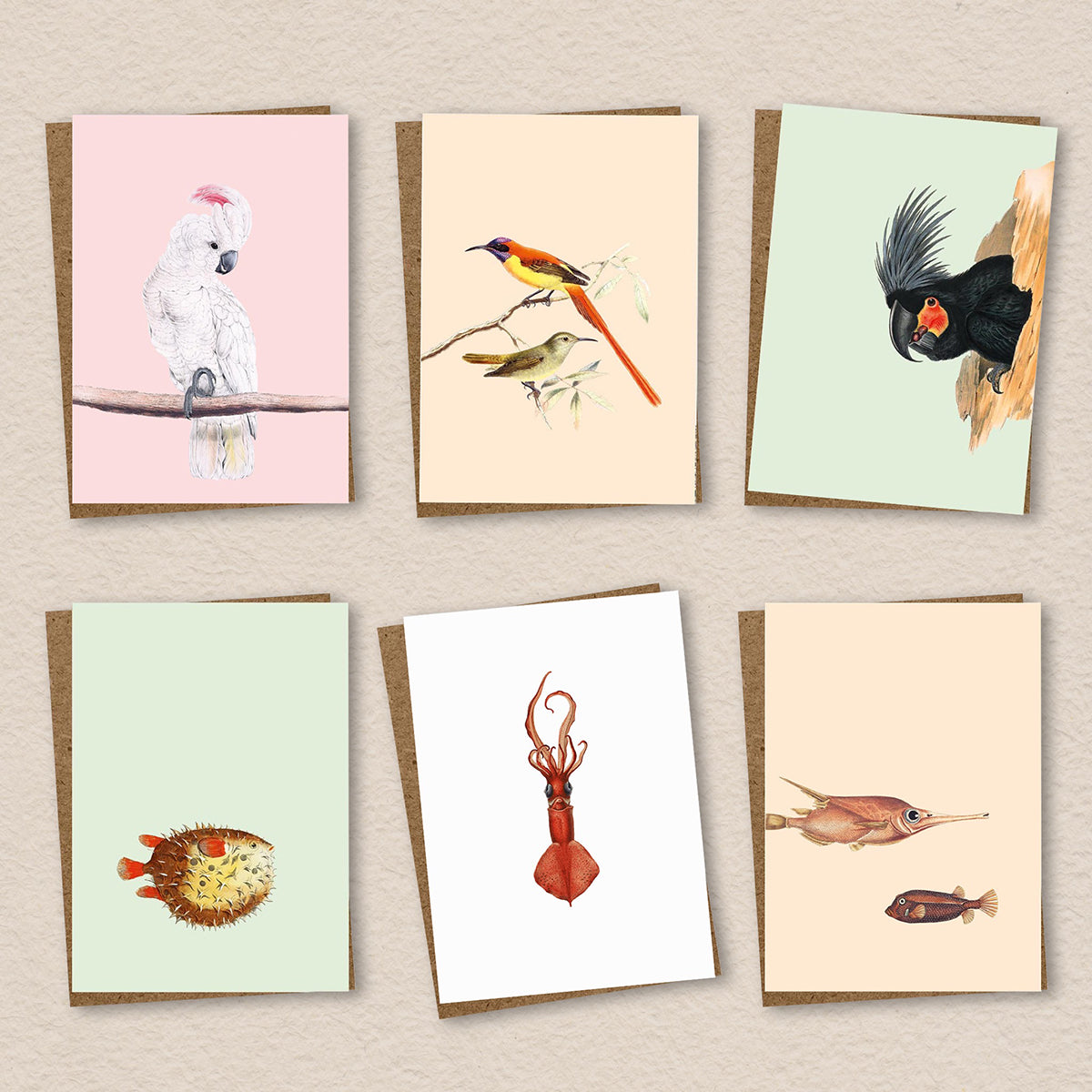 30x40 Grußkarten 6er Set "Tiermotive" Set #2 Papeterie