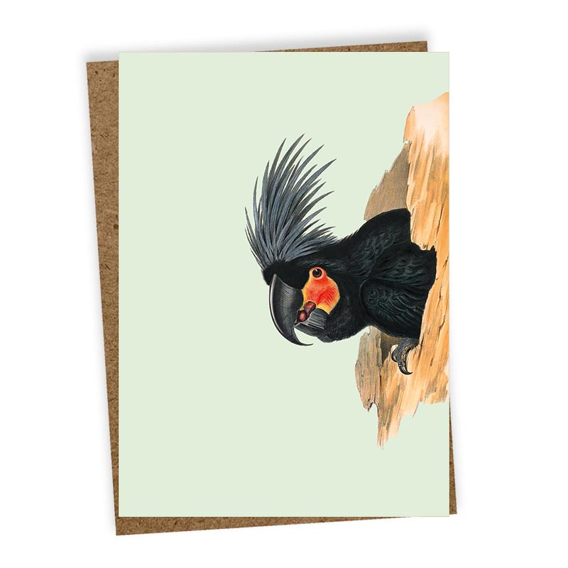 30x40 Grußkarten 6er Set "Tiermotive"