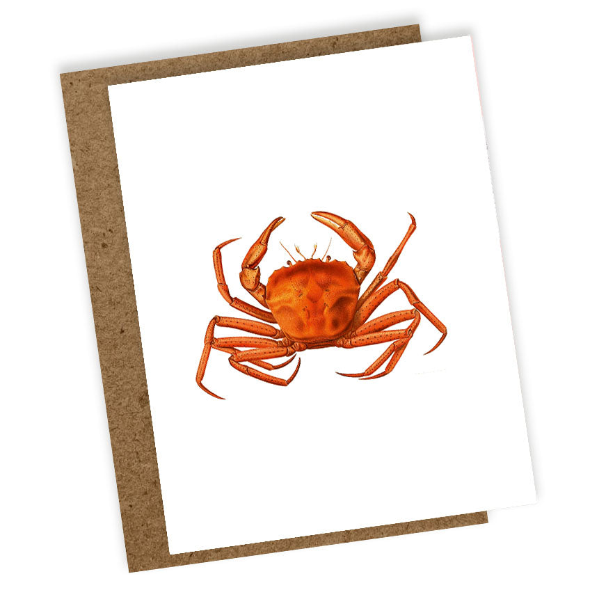 30x40 Stationery Set "Tiermotive"