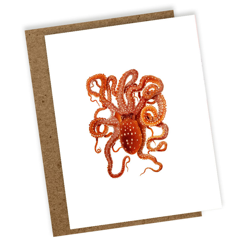 30x40 Stationery Set "Tiermotive"