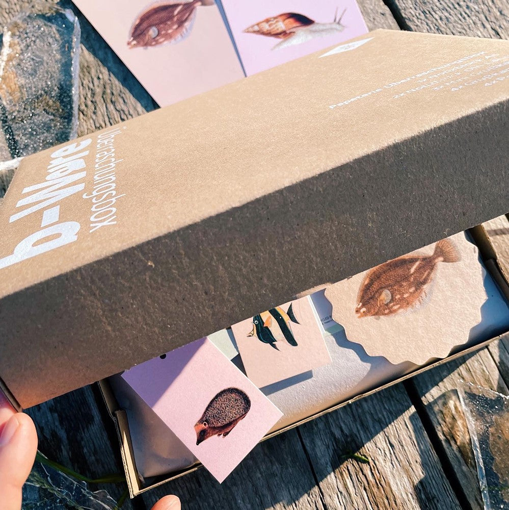 30x40_Überraschungsbox_2