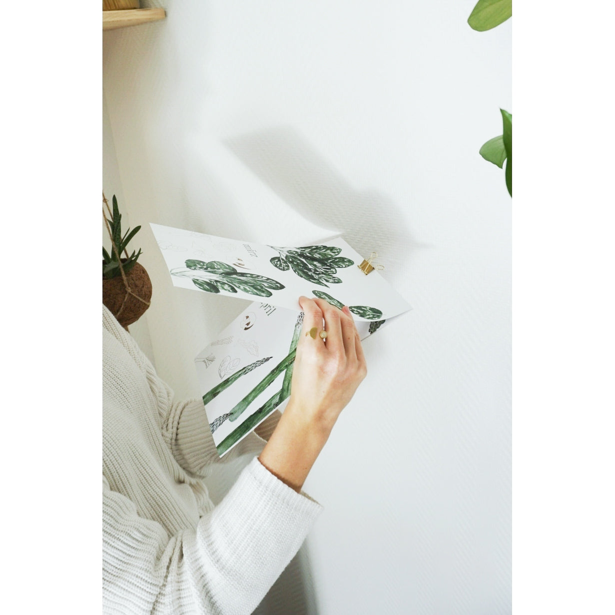 Artfacets Saisonkalender Obst & Gemüse