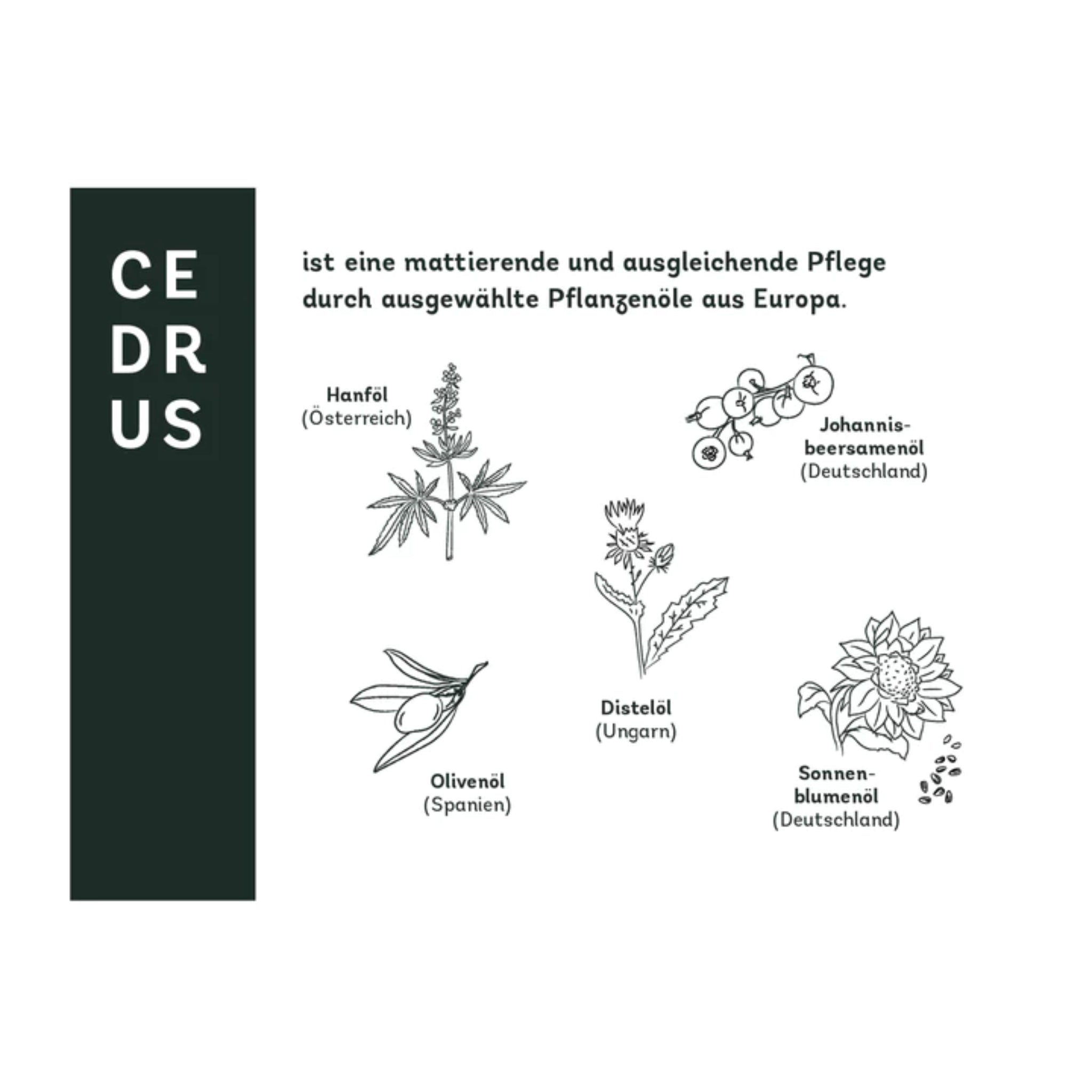 naturschatz Gesichtscreme Bundle "CEDRUS" 50 ml + 3x Sachets je 2 ml