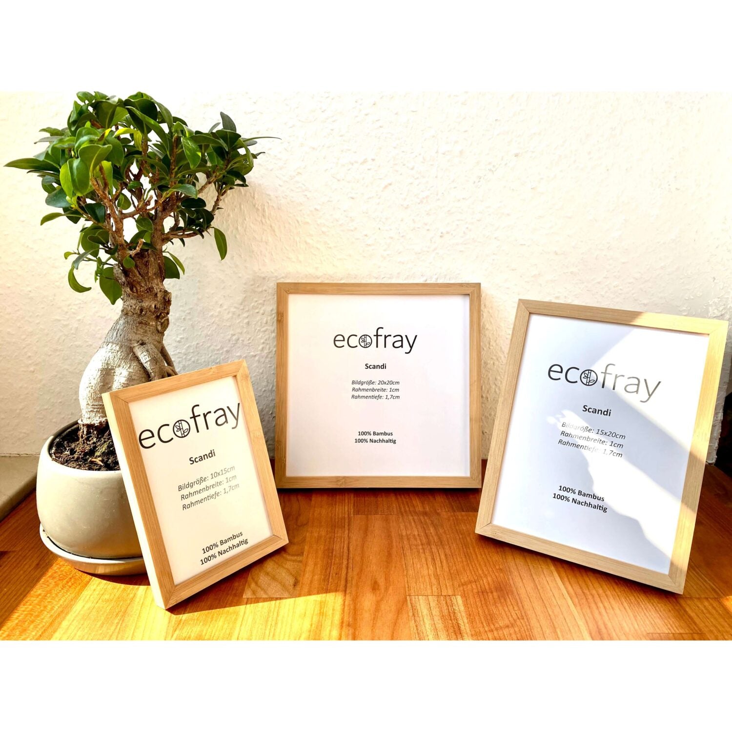 Drei Bambus-Bilderrahmen von ecofray auf einem Tisch neben einer Zimmerpflanze in einem Topf.