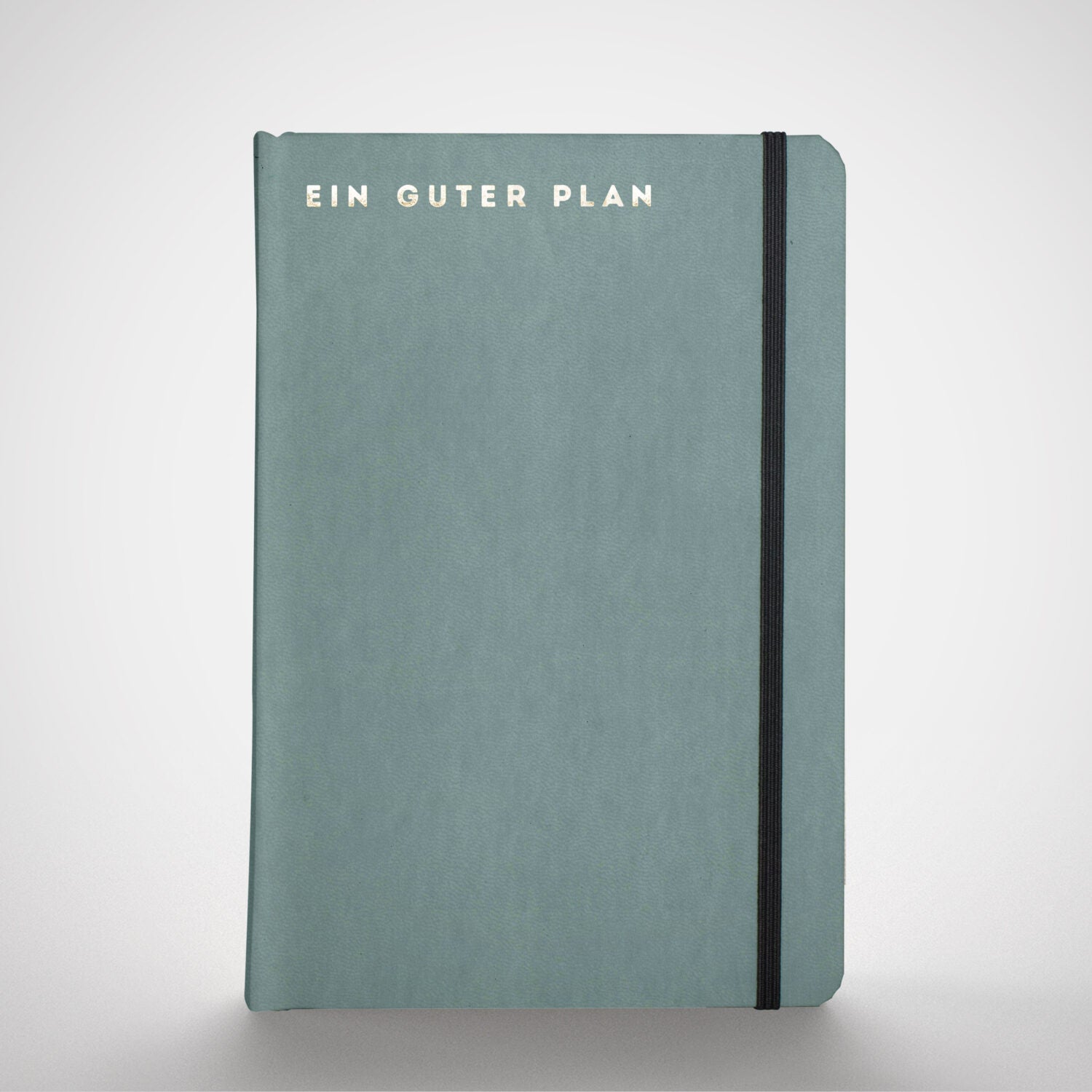 Ein guter Plan "Pro 2021"