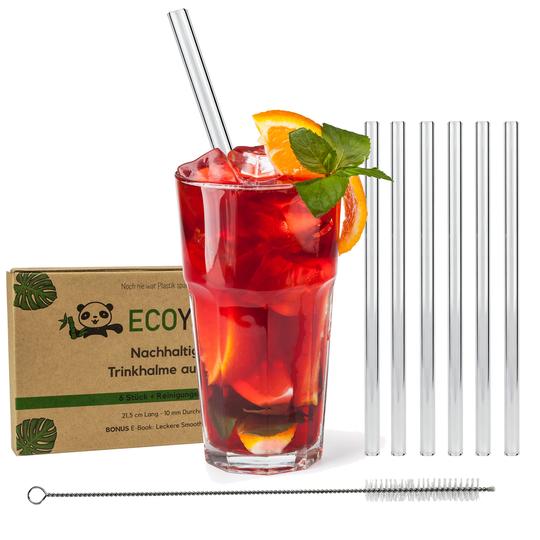 EcoYou 6er-Set Trinkhalme aus Glas