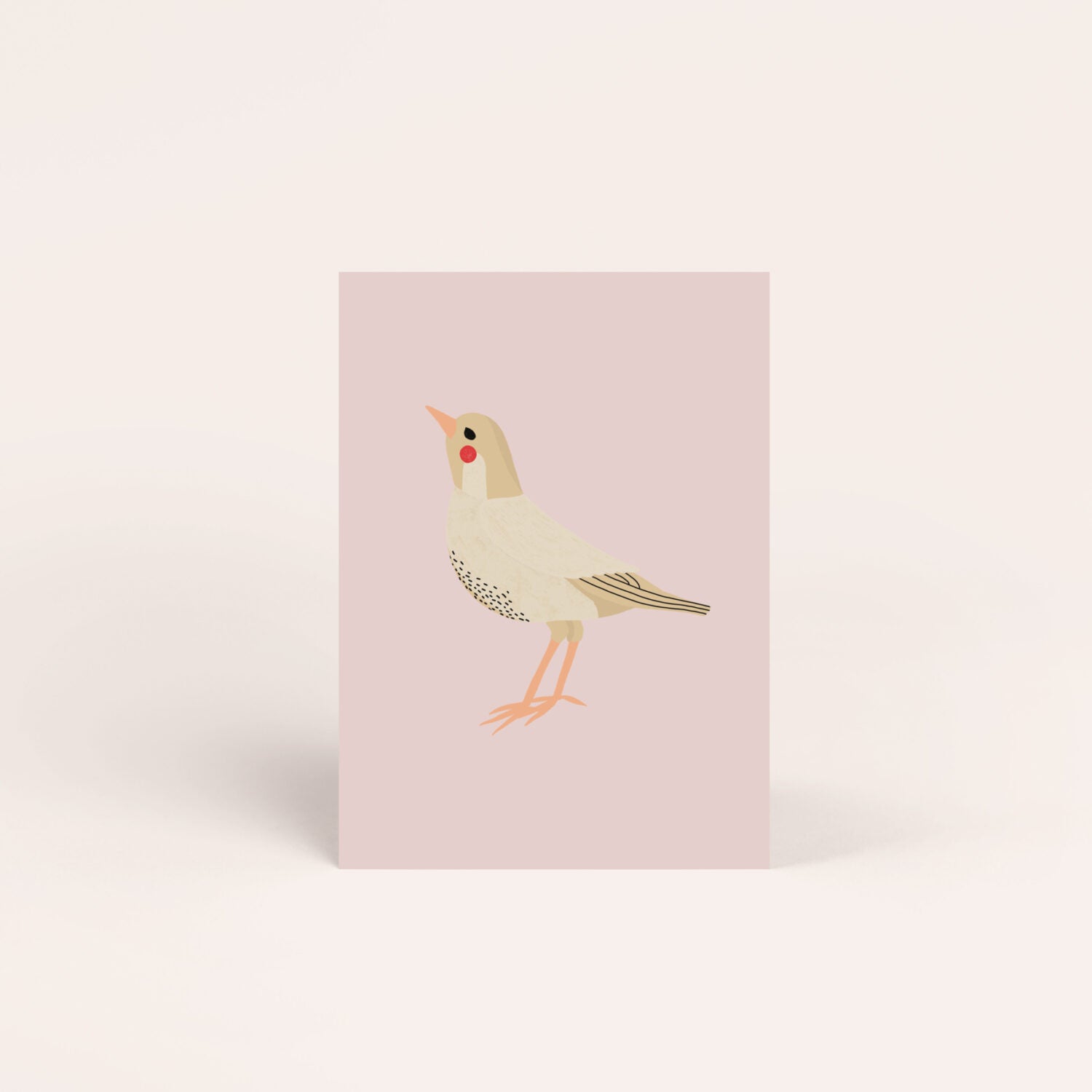 Jane Holtewert Postkarten Vogel