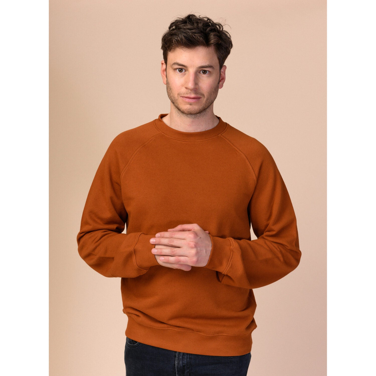 MELAWEAR Herren Sweatshirt "BALU" Mint M