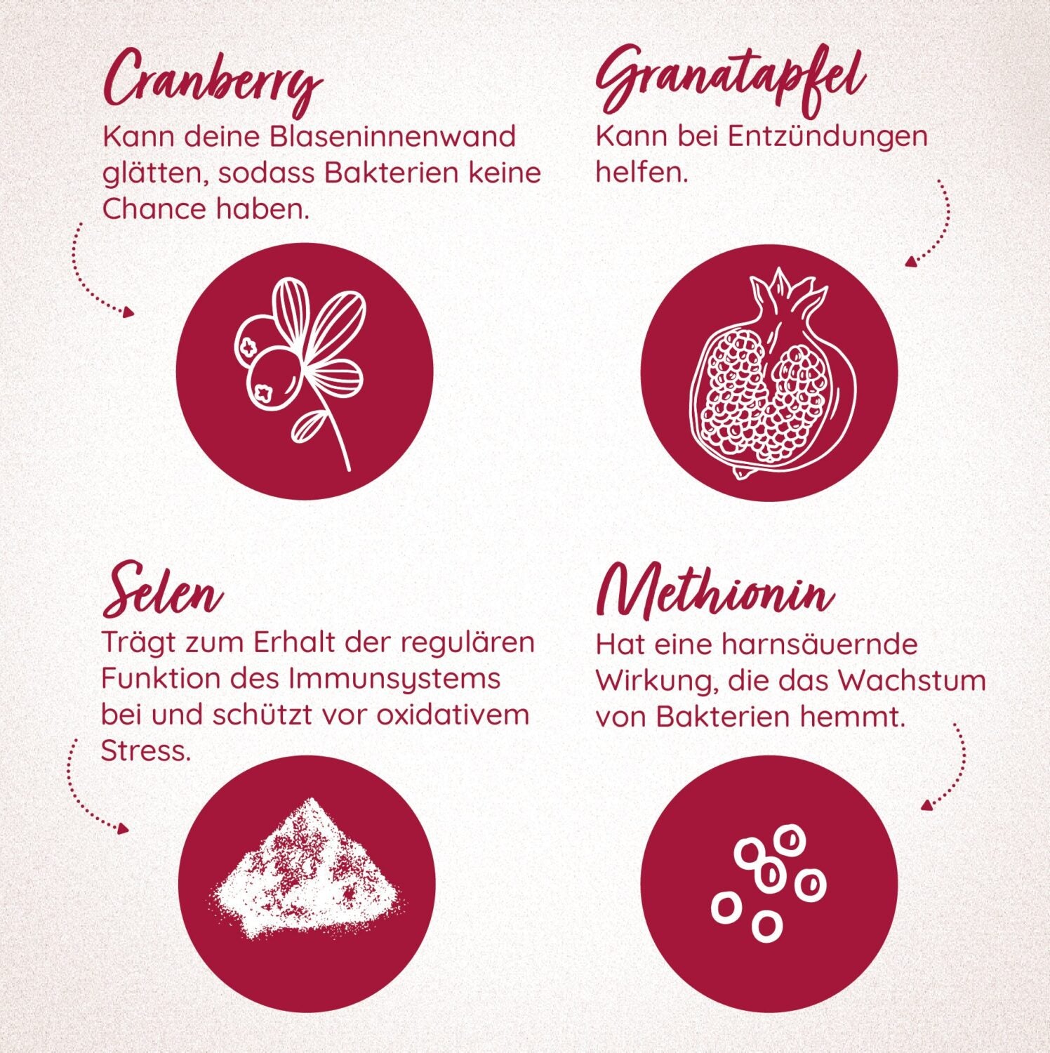 MYLILY Blasenkraft Cranberry, Selen + Granatapfel (2)