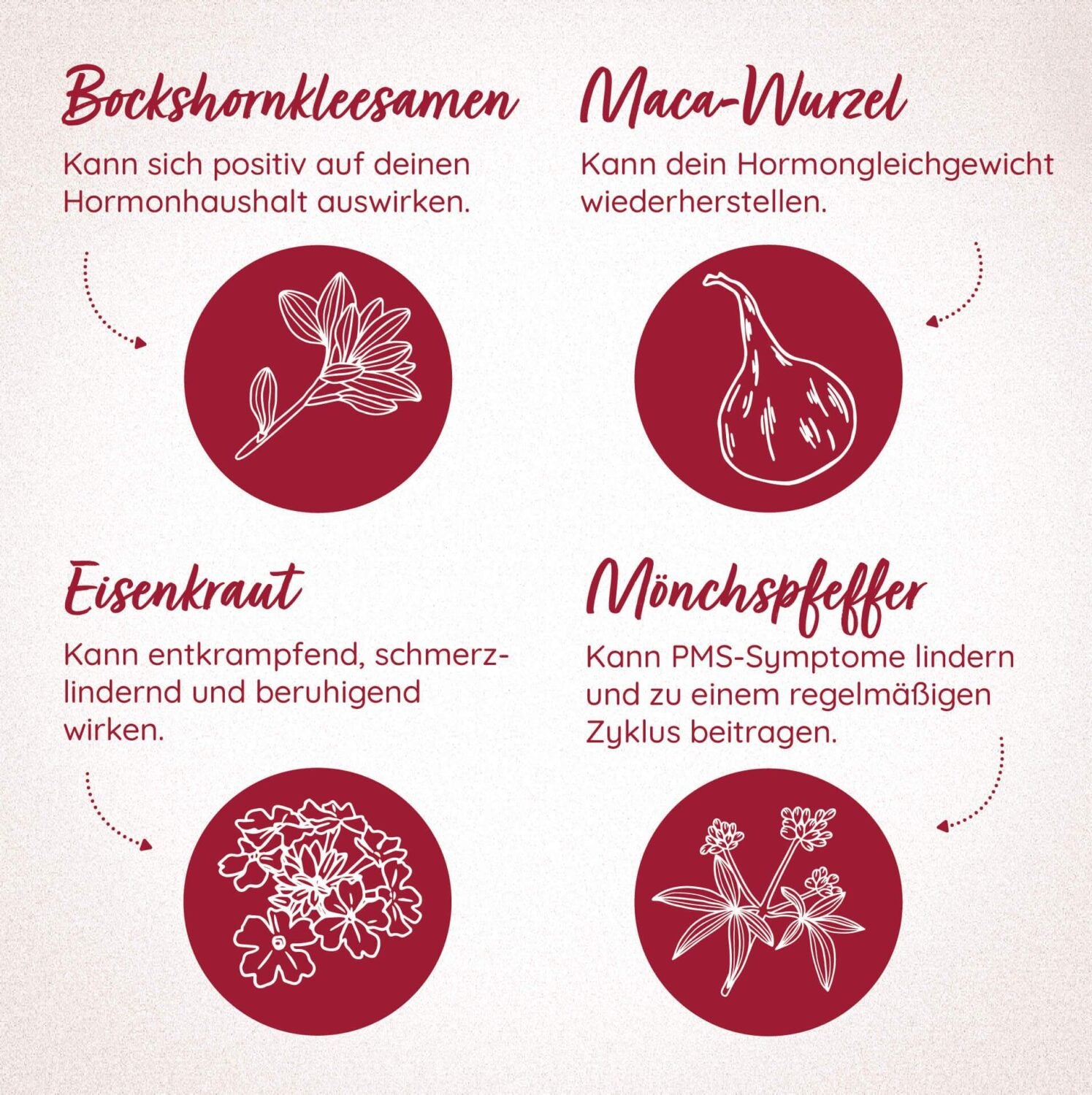 MYLILY Zyklus Balance Mönchspfeffer (2)