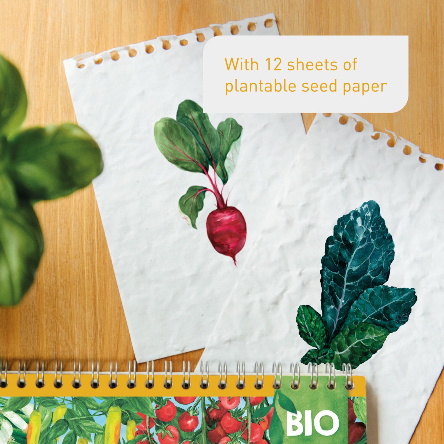 Plantura_Einpflanzbarer_Kalender_03