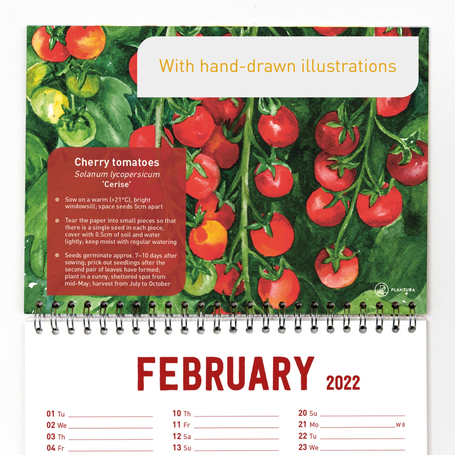 Plantura_Einpflanzbarer_Kalender_05