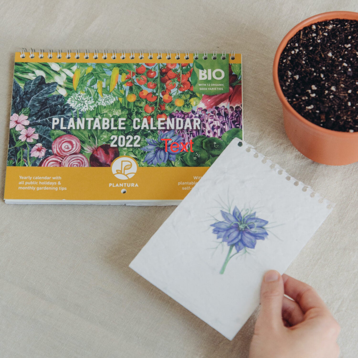 Plantura_Einpflanzbarer_Kalender_06