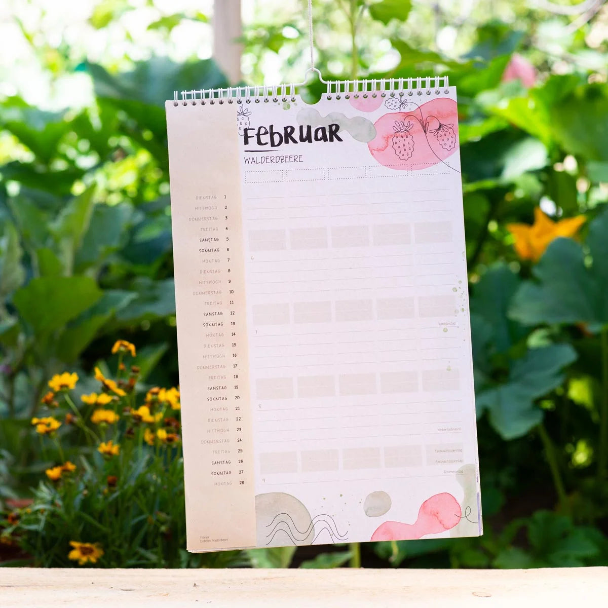 Primoza_Kalender_Strippenzieher_02