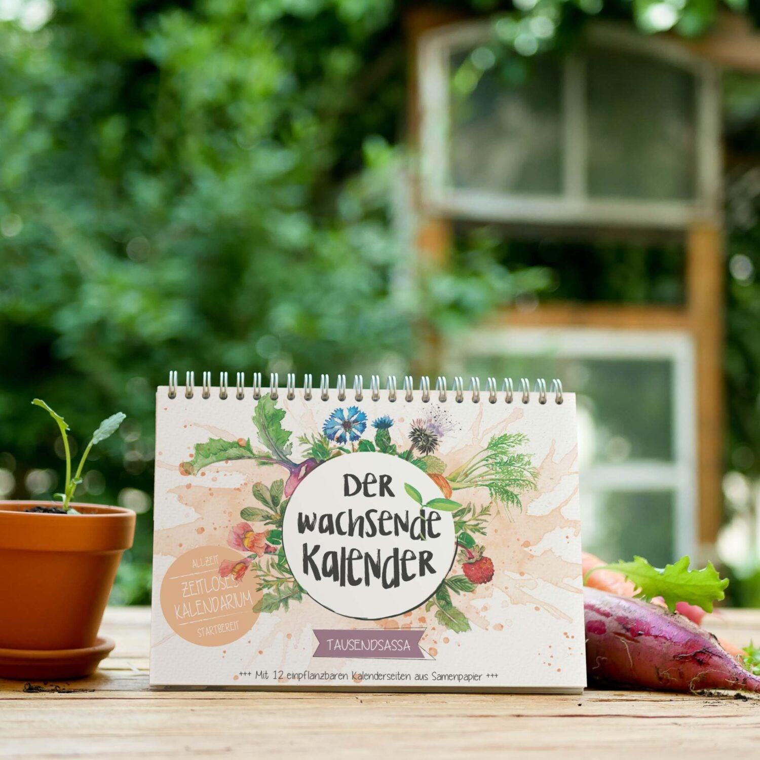 Primoza Wachsender Kalender 