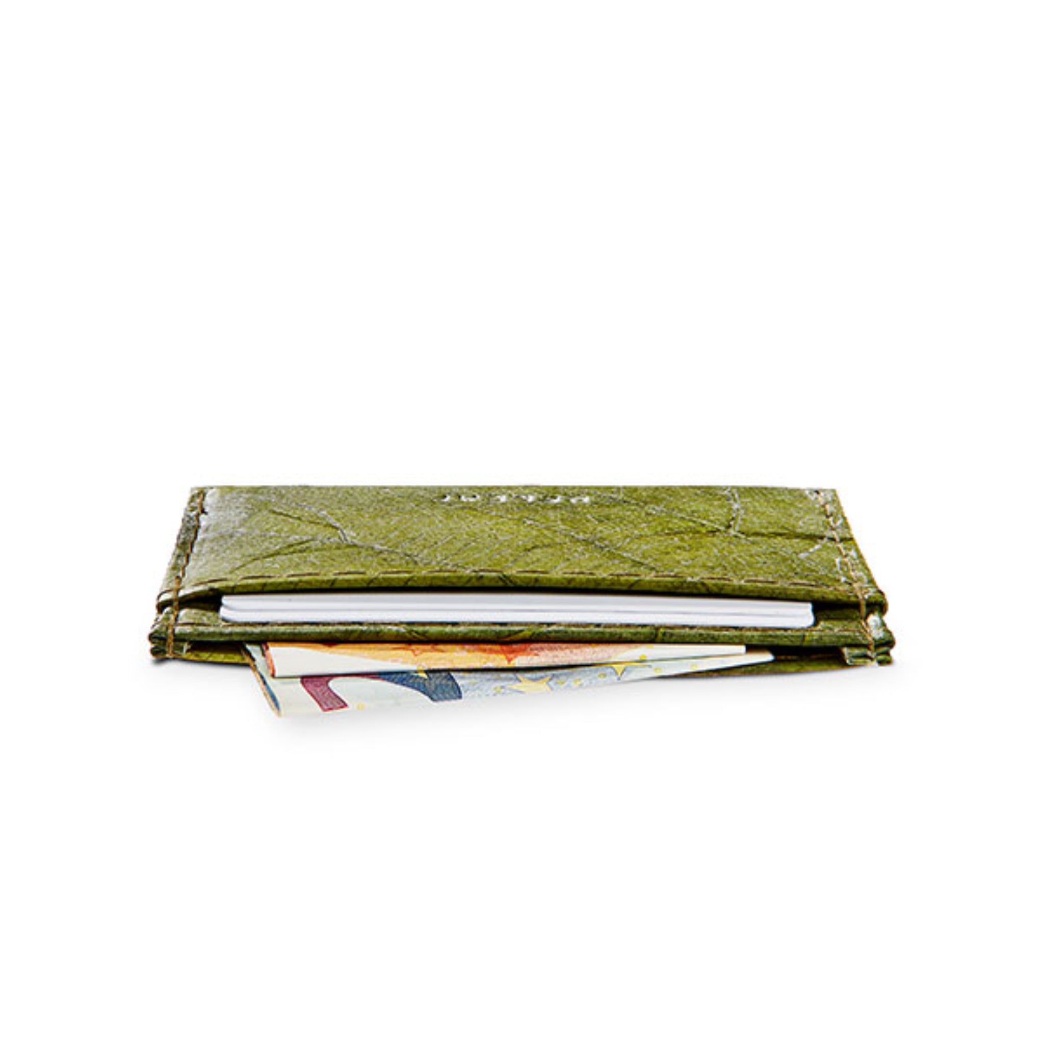 Grüne Geldbörse aus Papier mit einem Kreditkartenfach und Geldscheinen darin, auf weißem Hintergrund.