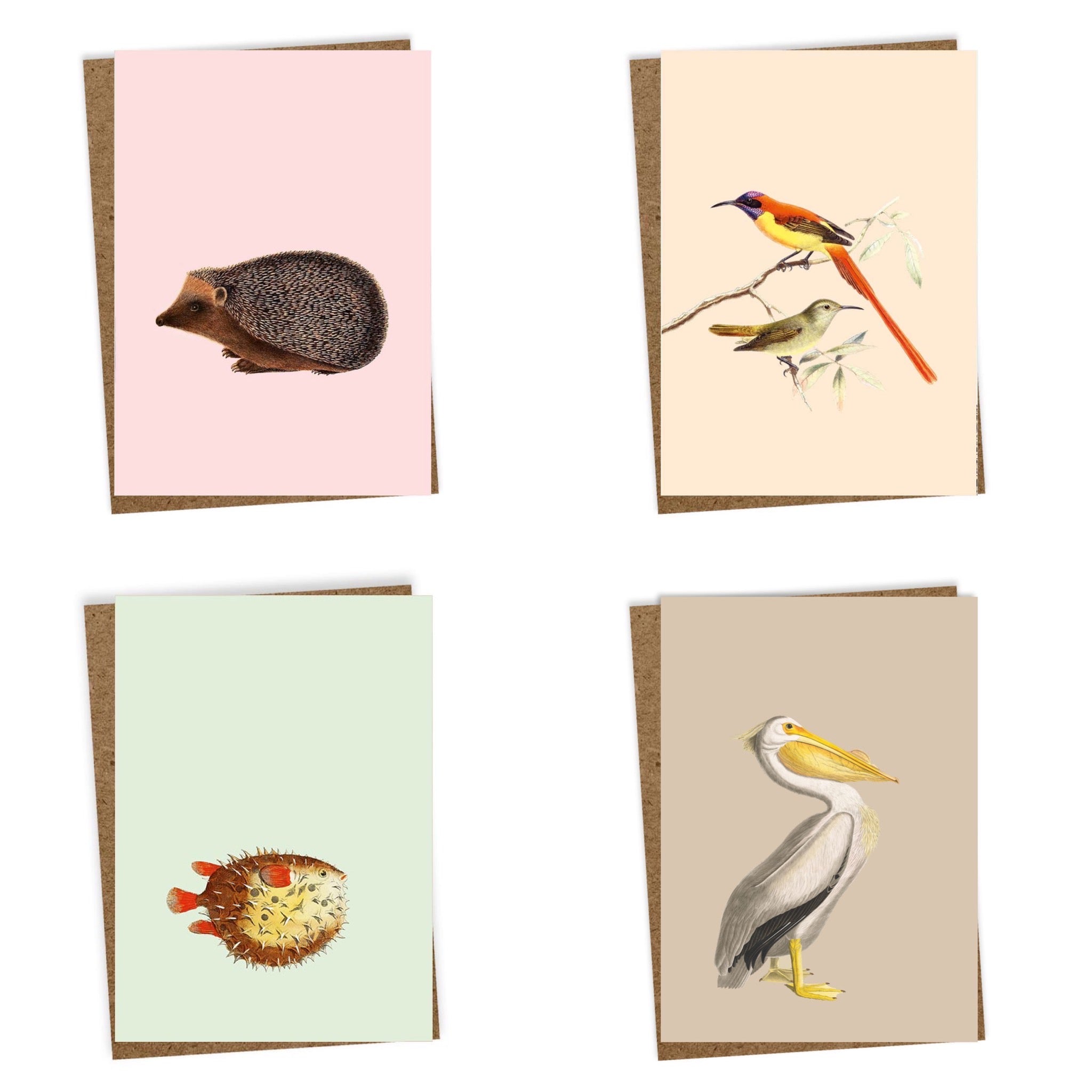 30x40 Grußkarten 8er Set "Tiermotive" Tierische Reise