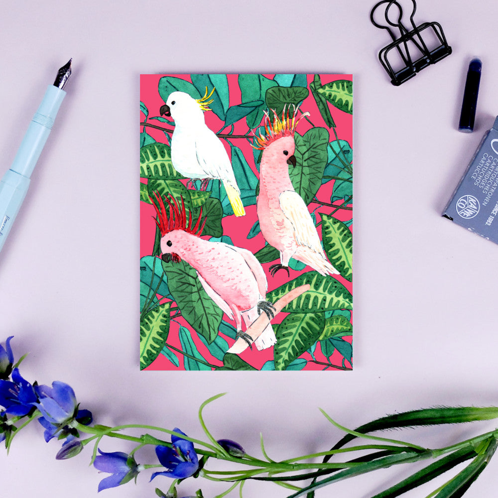 wonder of today Postkarte Papageien pink DIN A6