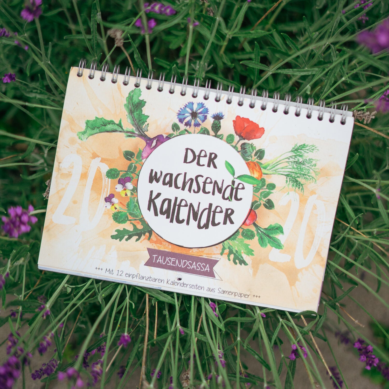Primoza Wachsender Kalender "Tausendsassa 2020"