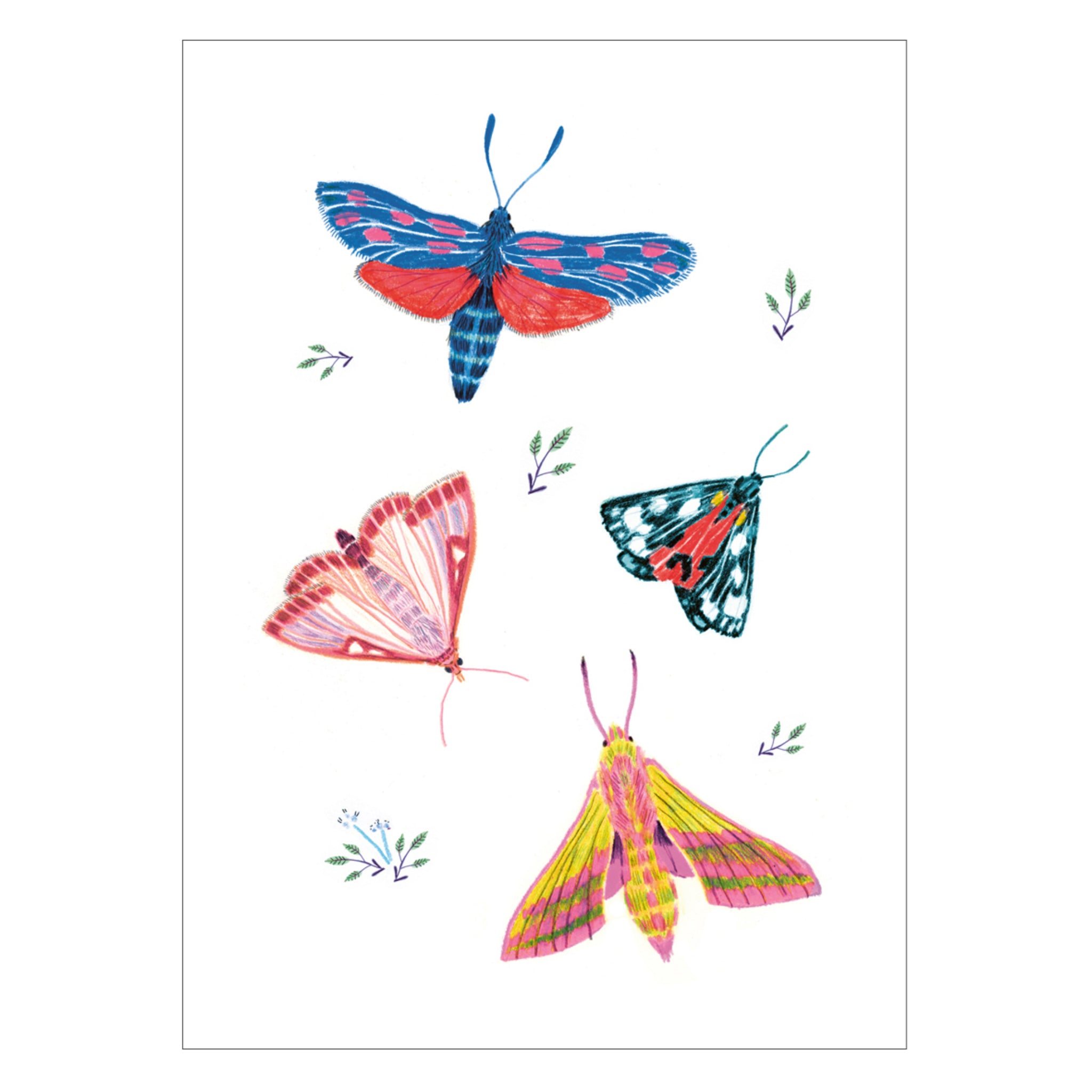 Illustration von vier bunten Schmetterlingen in verschiedenen Farben und Mustern auf einem weißen Hintergrund mit kleinen Blättern.