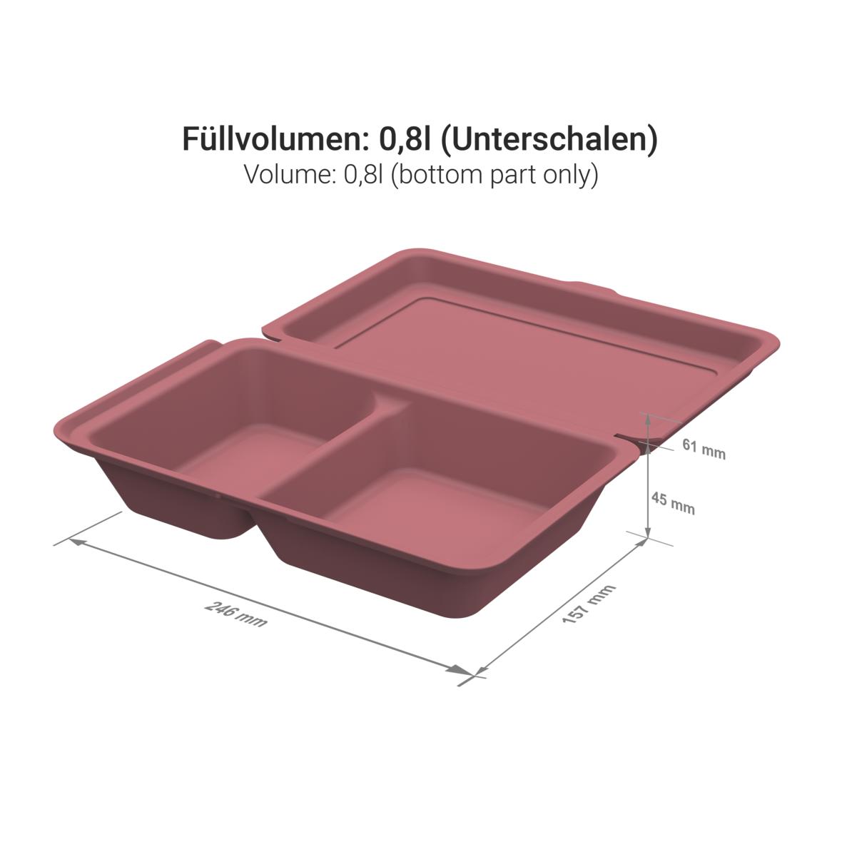 up2u MuC Lunchboxen Medium
