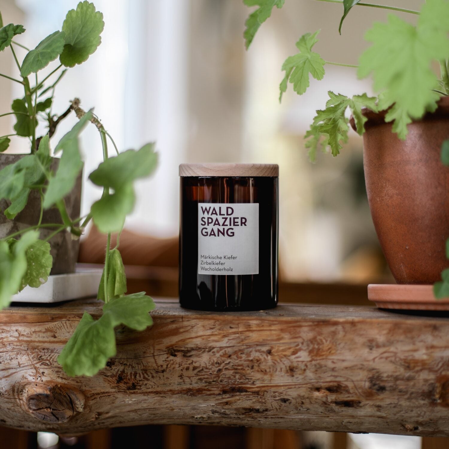 UpCandle Duftkerze "Waldspaziergang" 250 g