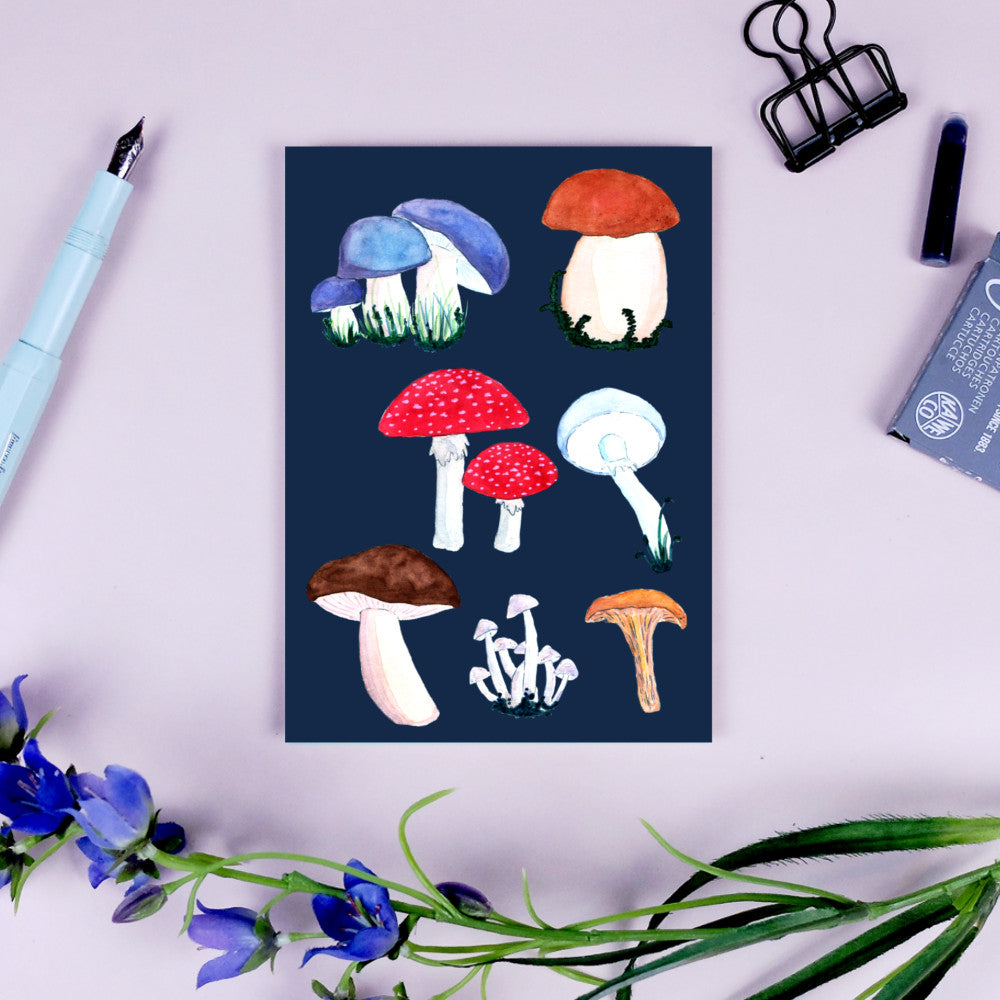 Illustration von verschiedenen Pilzen auf einer dunkelblauen Karte, umgeben von Schreibutensilien und Blumen.