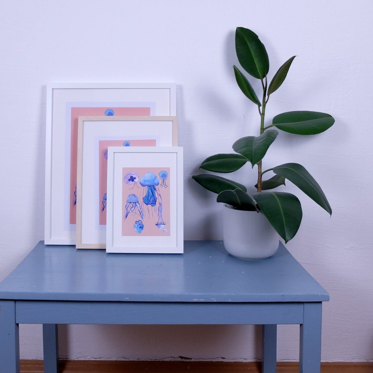 Drei gerahmte Quallenbilder stehen auf einem blauen Tisch neben einer grünen Zimmerpflanze in einem weißen Topf.