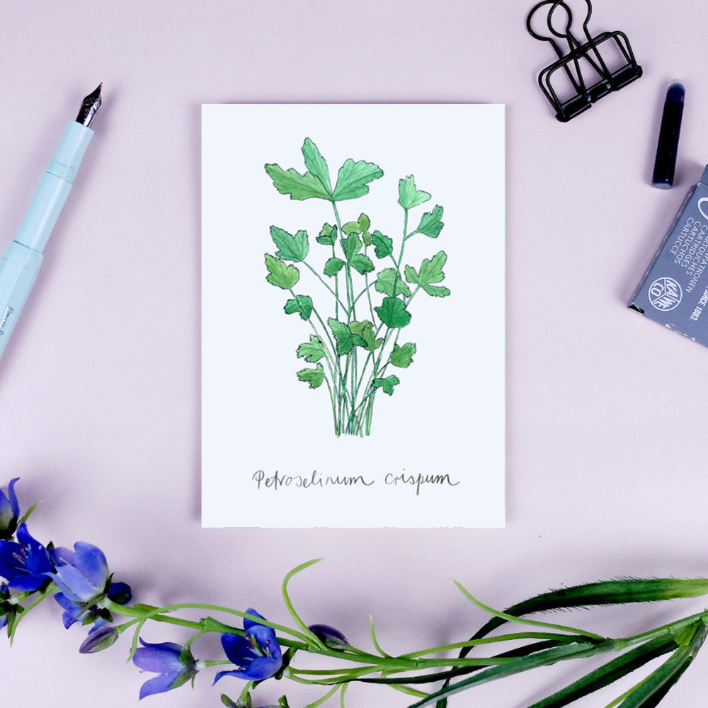 Eine handgezeichnete Illustration von Petersilie auf einer Karte mit einem Füllfederhalter und Blumen daneben.