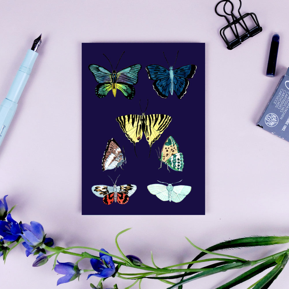Illustration von sechs verschiedenen Schmetterlingen auf dunklem Hintergrund, umgeben von Schreibutensilien und Blumen.