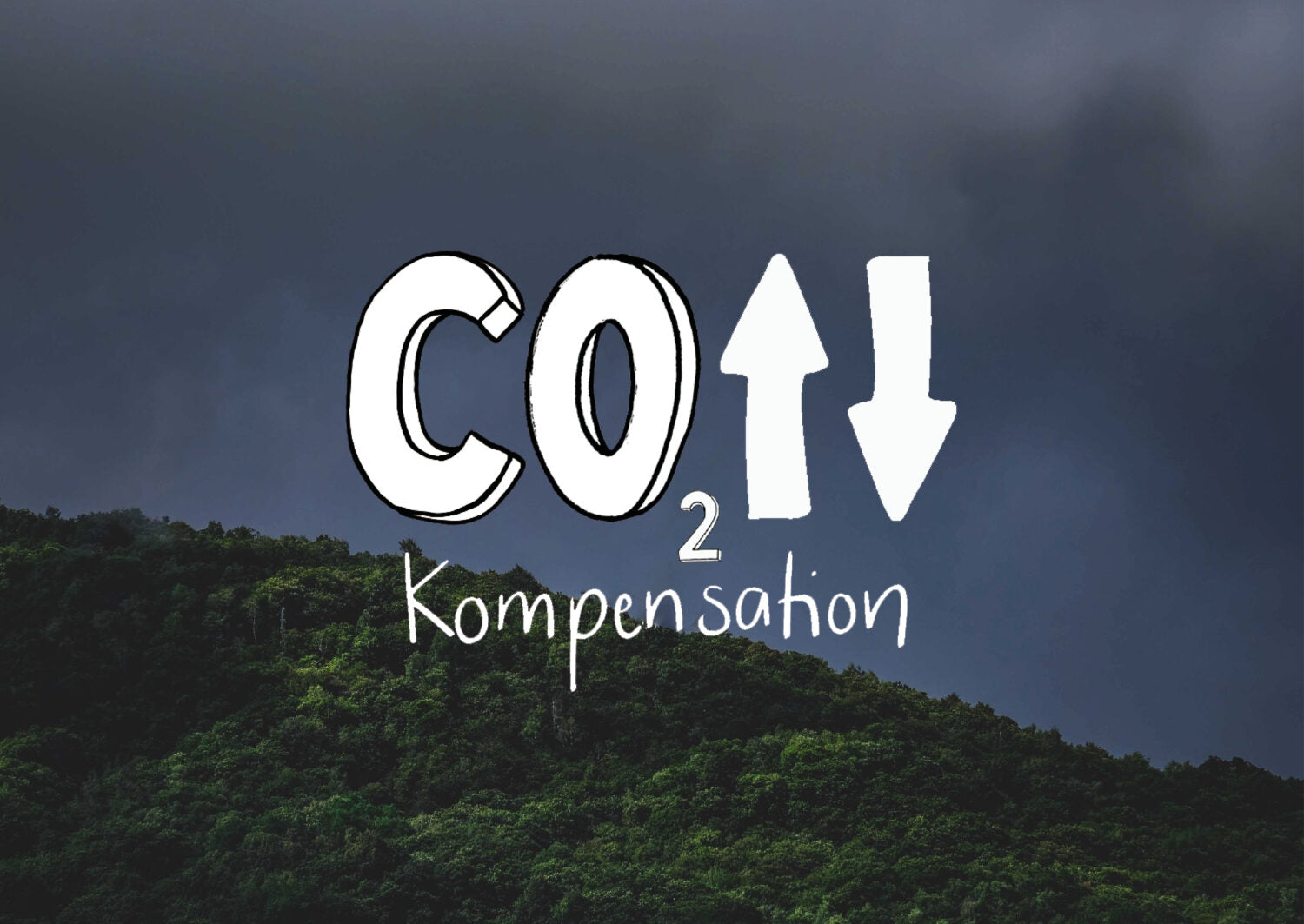 CO2-Kompensation: Vertrauenswürdige Organisationen, Zertifikate und Klimaschutzprojekte