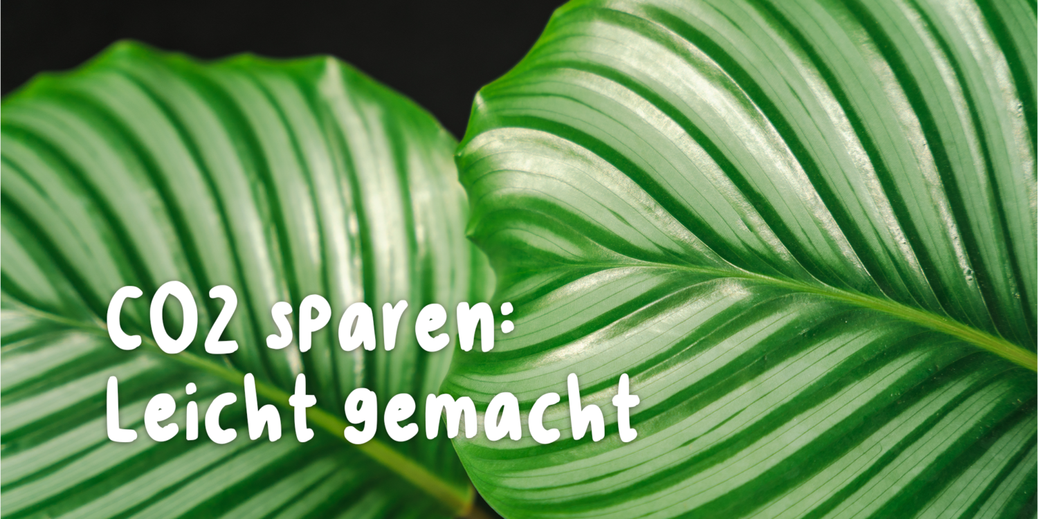 Der ökologische Fußabdruck - kleine Tipps, um CO2 zu sparen!