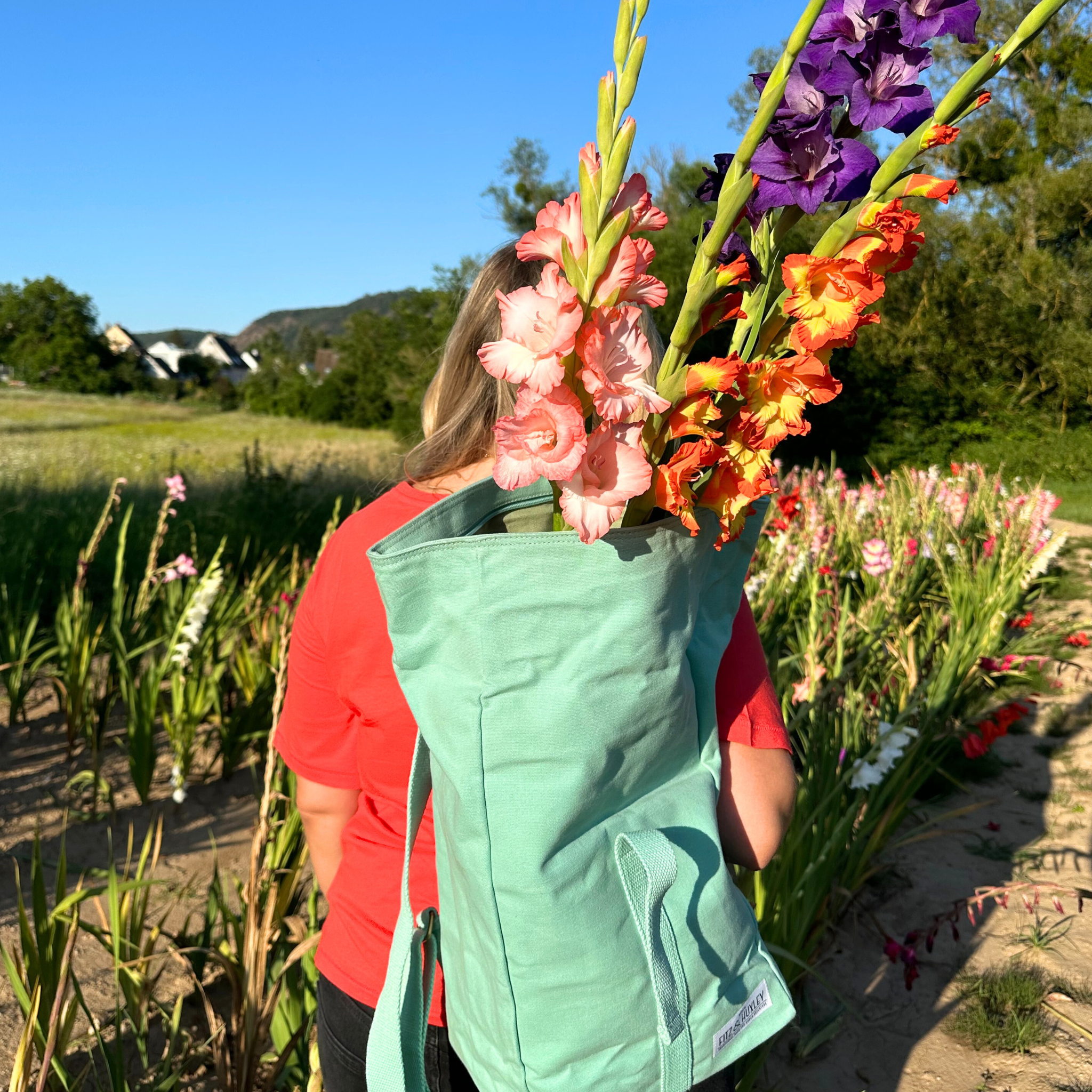 Eine Person mit rotem Shirt trägt einen mintfarbenen Rucksack voller Gladiolen auf einem Feld bei sonnigem Wetter.