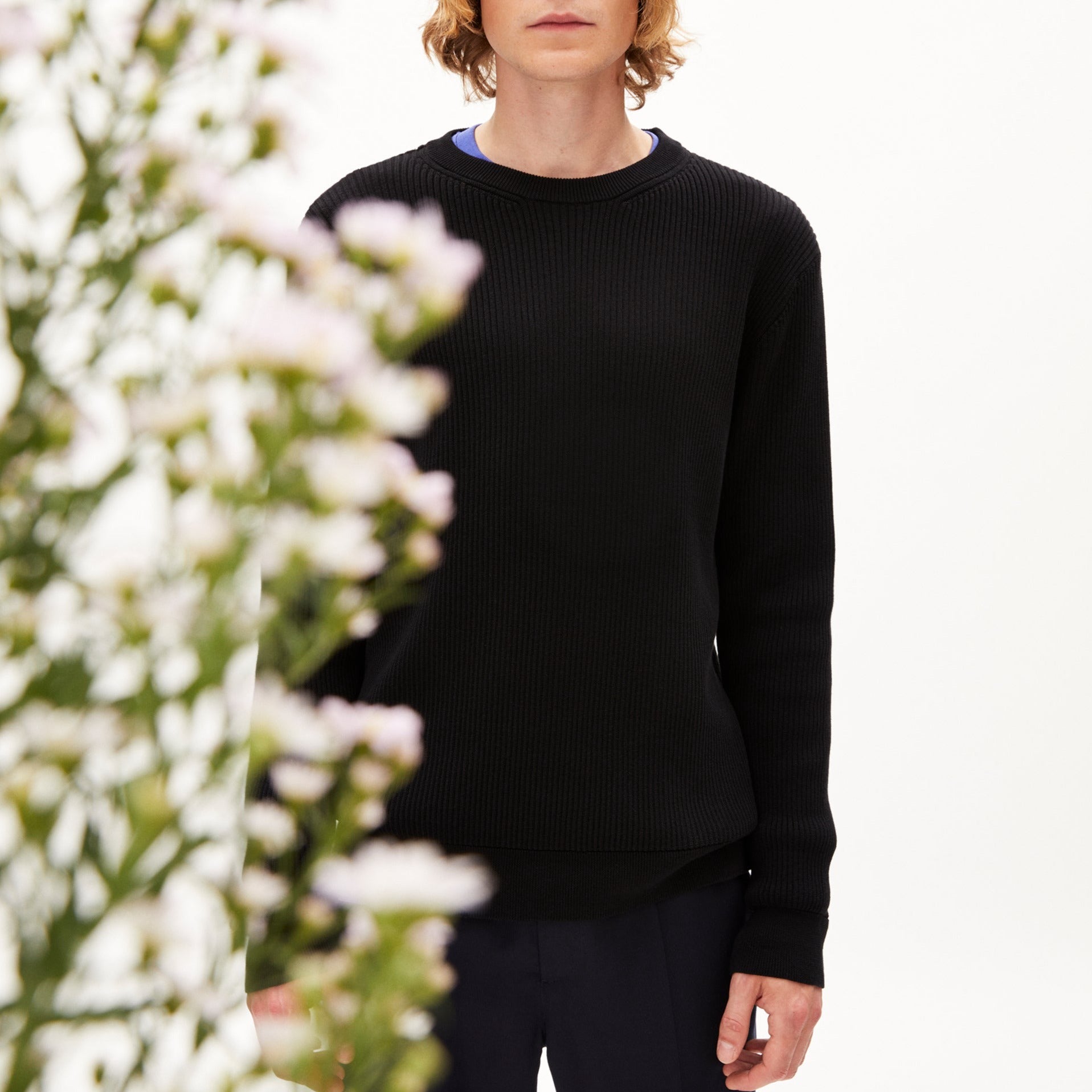 ARMEDANGELS Pullover "RIBBAA"