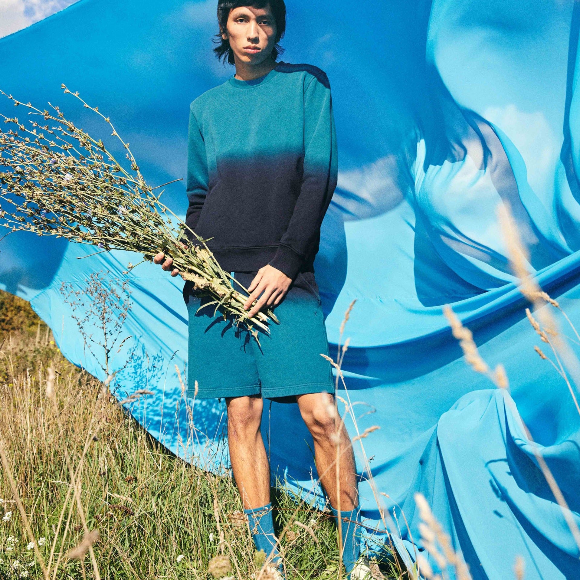 ARMEDANGELS Sweatshirt "BAARO DEGRADÉ"