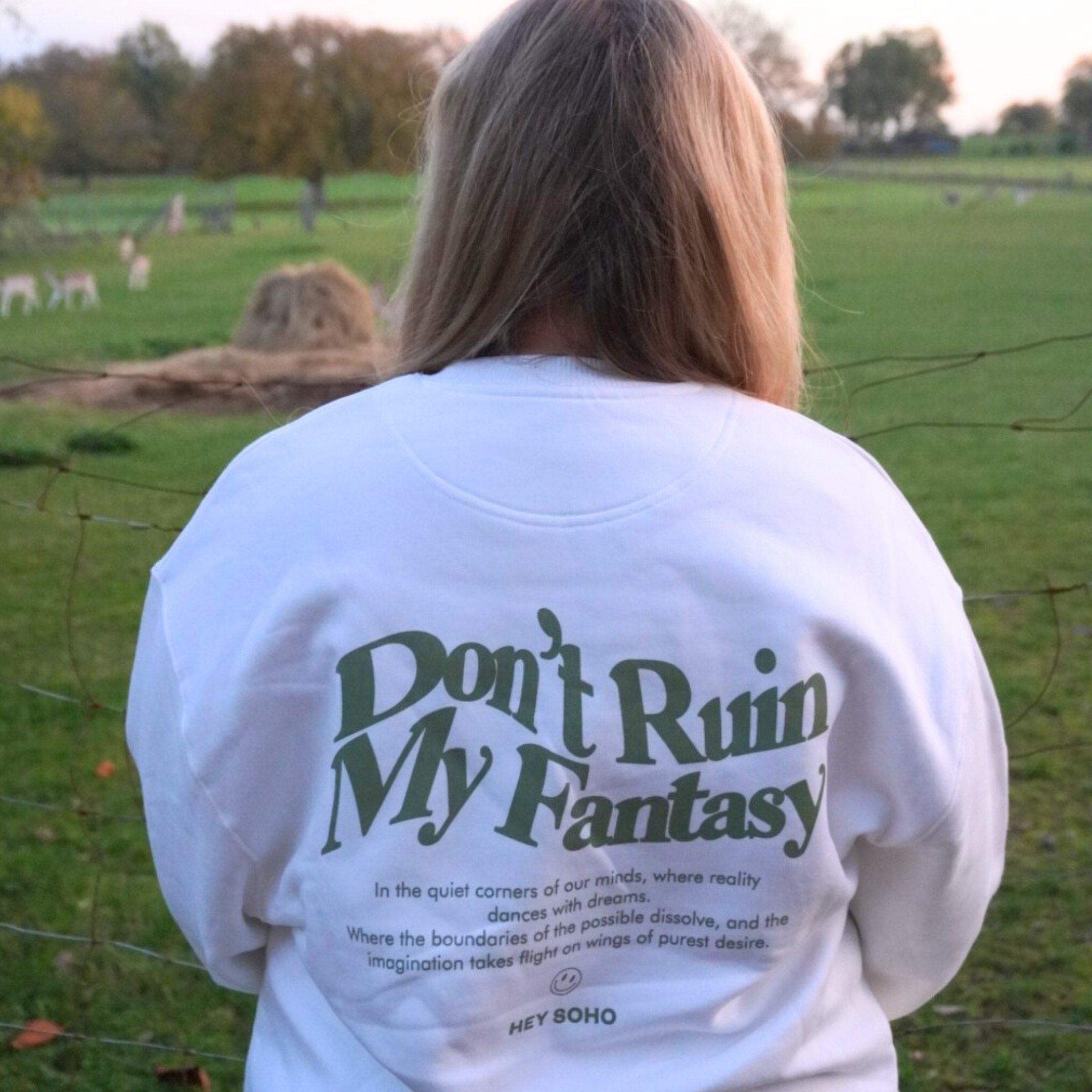 hey soho Sweater "Don't ruin my fantasy"