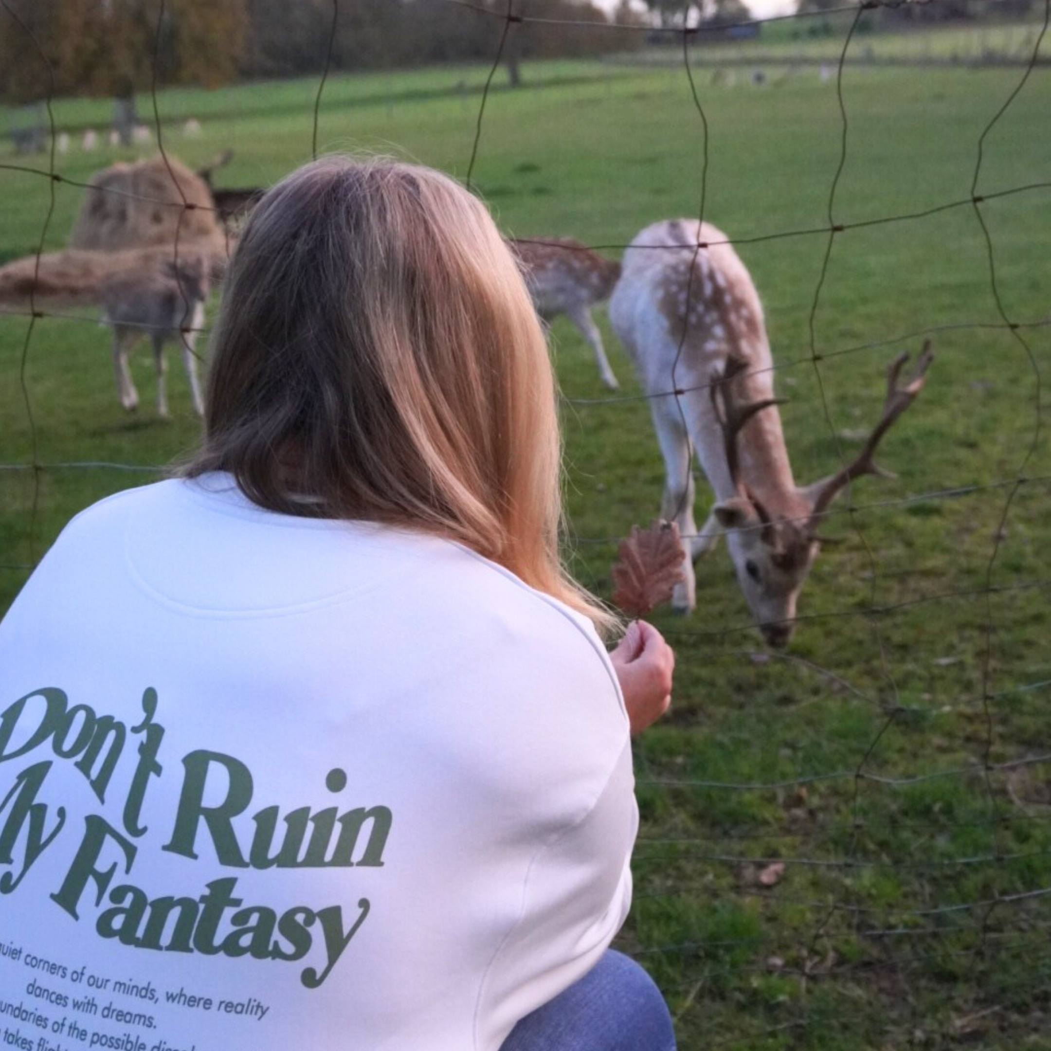 hey soho Sweater "Don't ruin my fantasy"