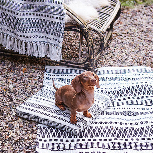 Ein brauner Dackelwelpe sitzt auf einem gemusterten schwarz-weißen Teppich im Freien auf Kies, während im Hintergrund ein geflochtener Stuhl und eine Decke zu sehen sind.