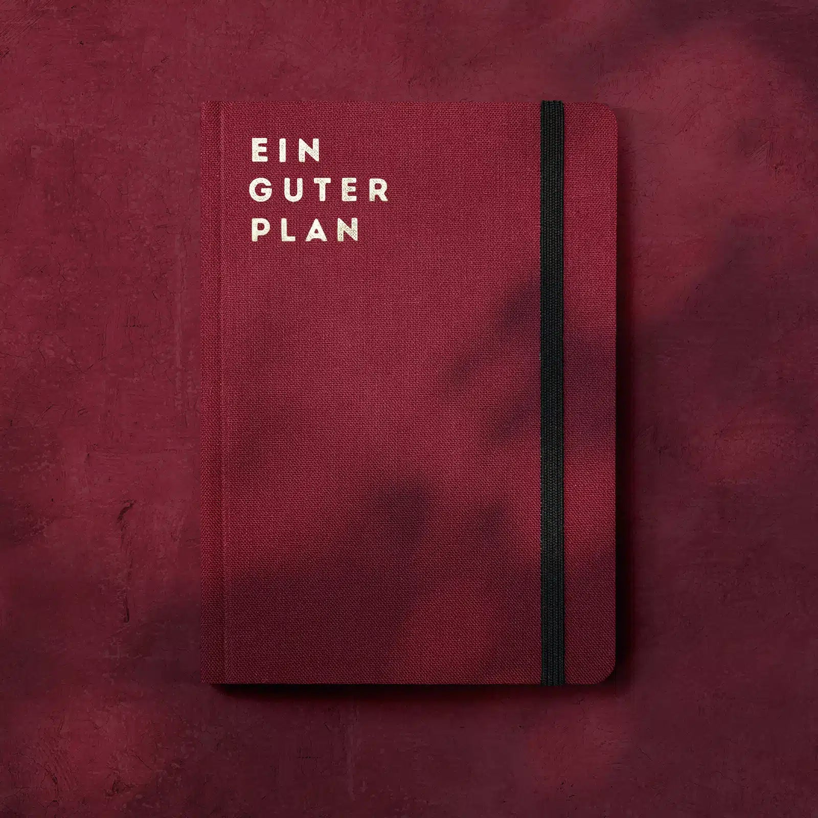 Ein guter Plan "Mini 2024" Rubin